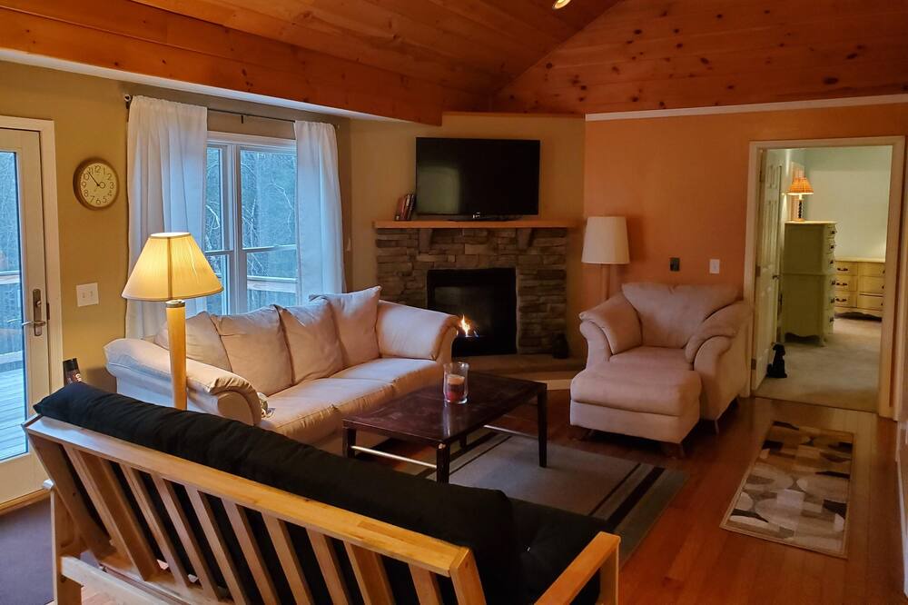 Photo of Livingroom in Brant Lake