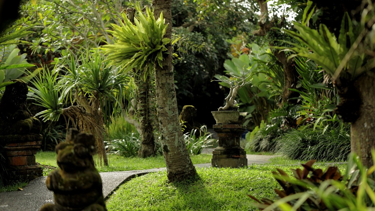 Photo of Outdoor in Penestanan
