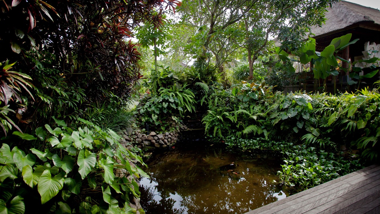Photo of Outdoor in Penestanan