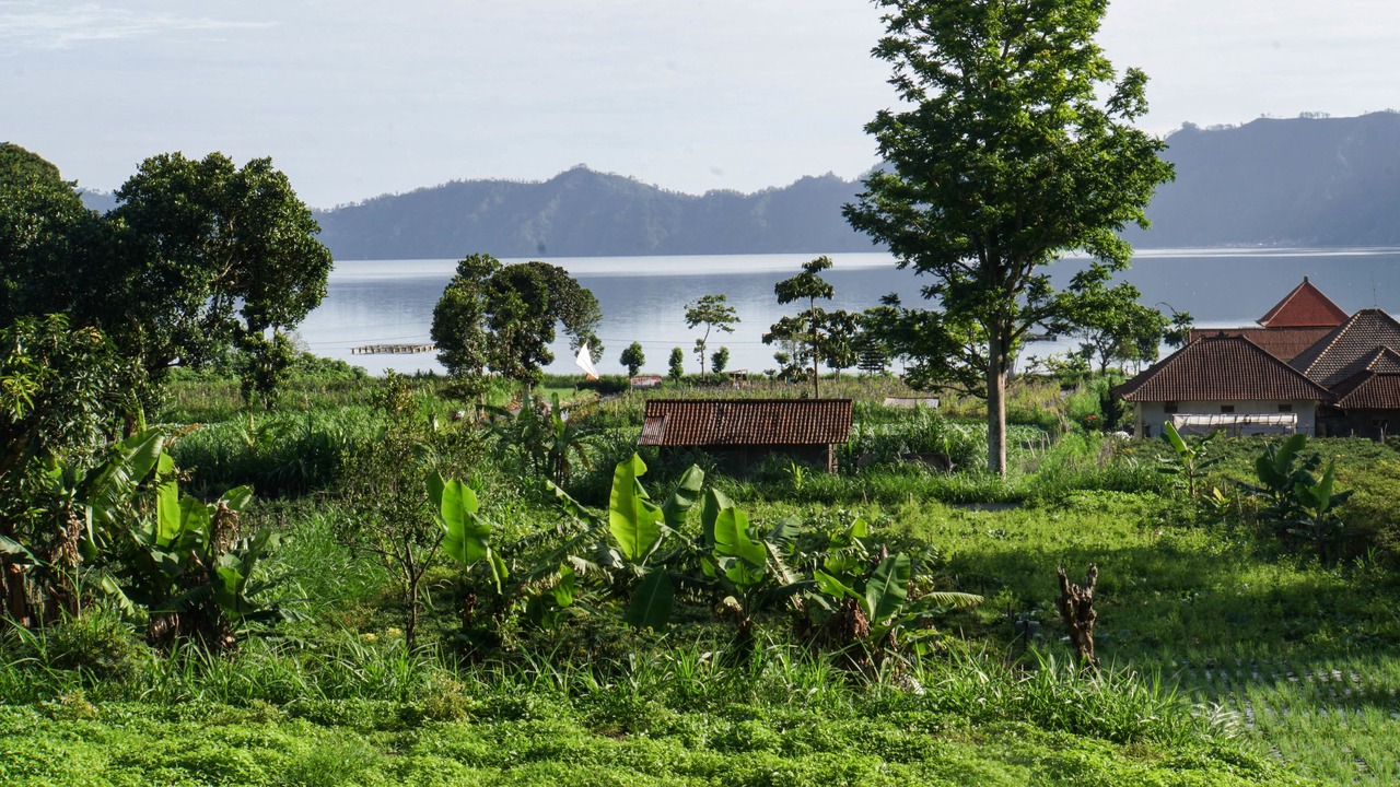 Photo of Others in Kintamani