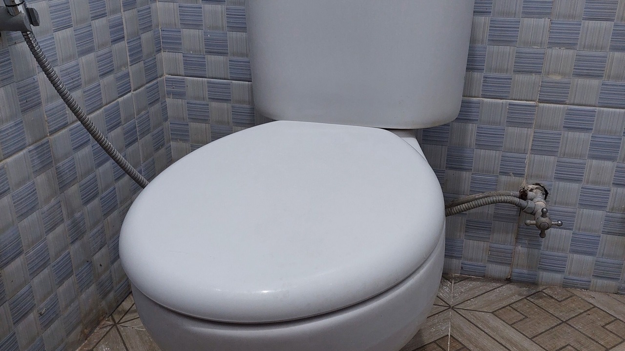 Photo of Others in Botoemadeg