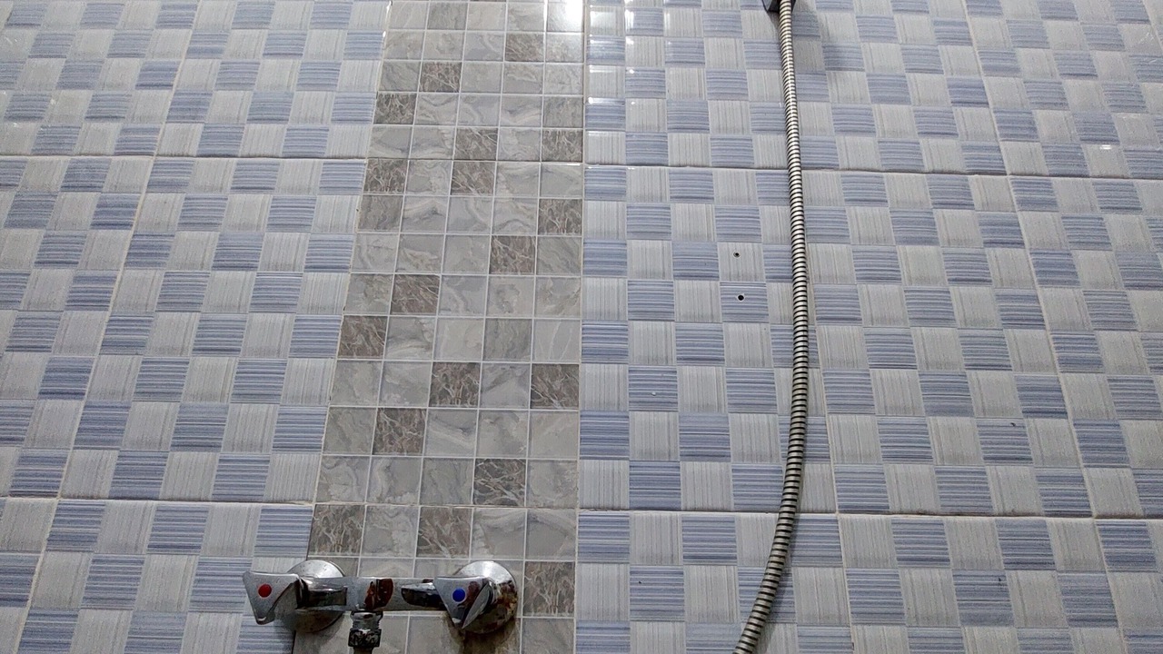 Photo of Others in Botoemadeg