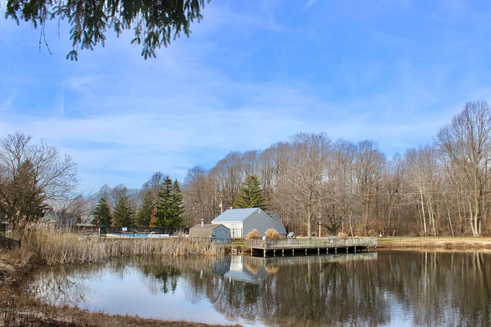 Photo of Others in Stevensville