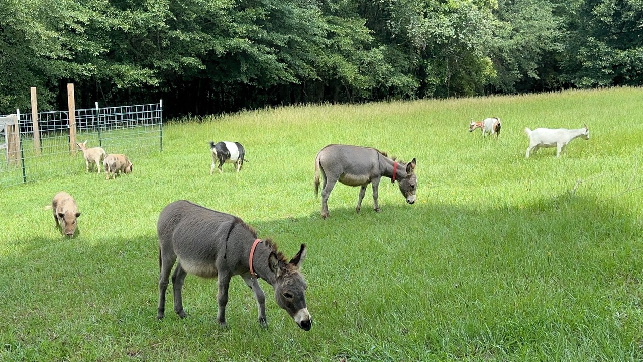 Photo of Others in Williamston