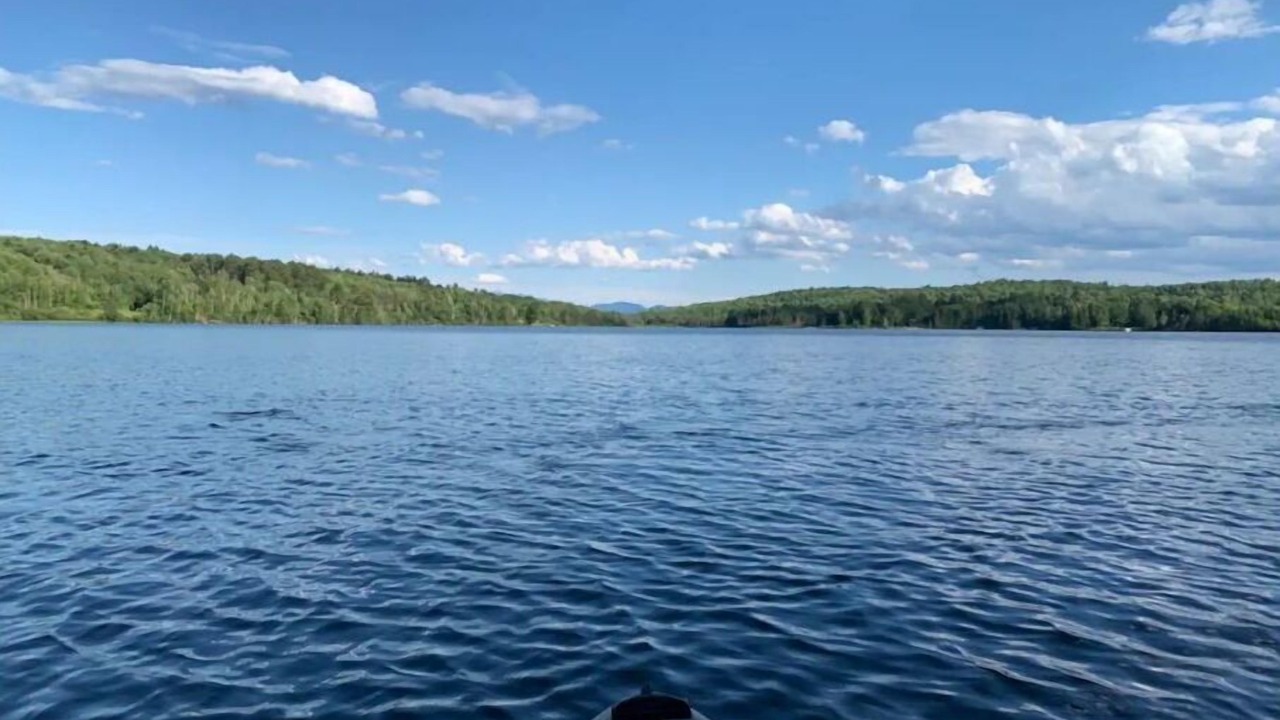 Photo of Others in Concord