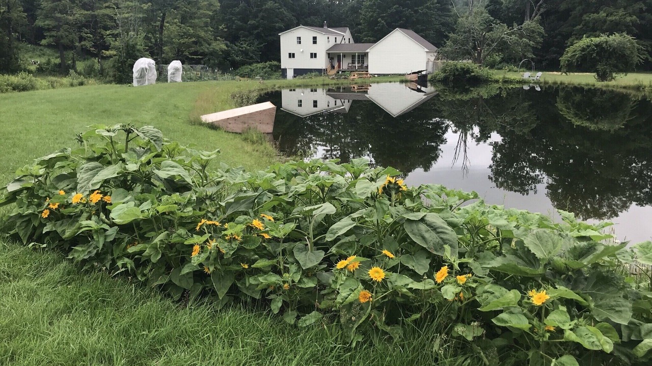 Photo of Outdoor in Guilford