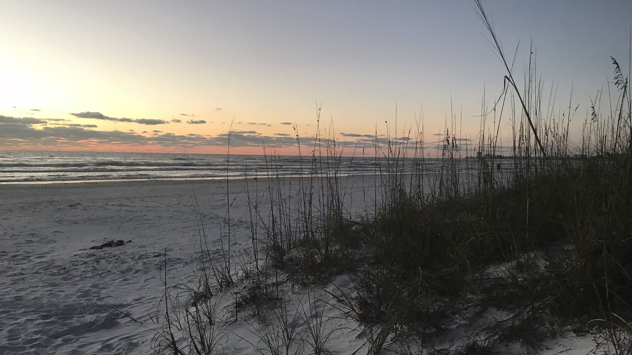 Photo of Others in Siesta Key