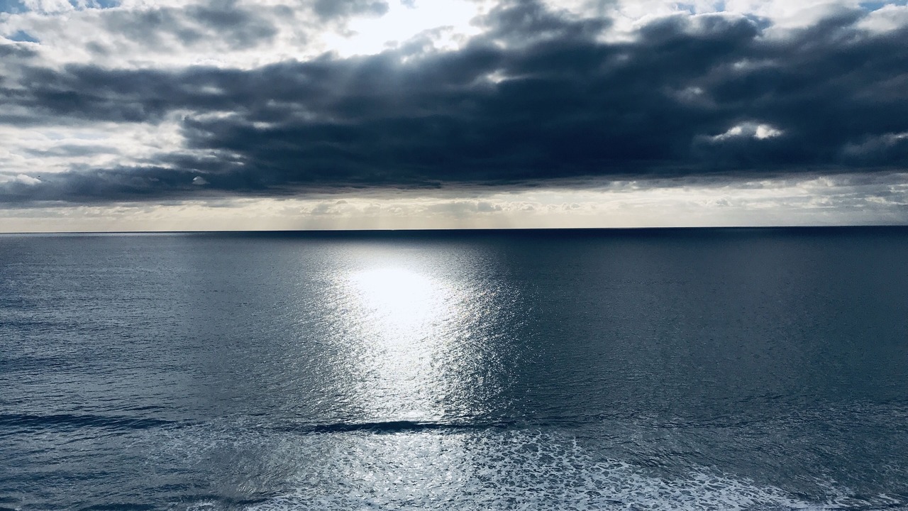 Photo of Others in San Clemente