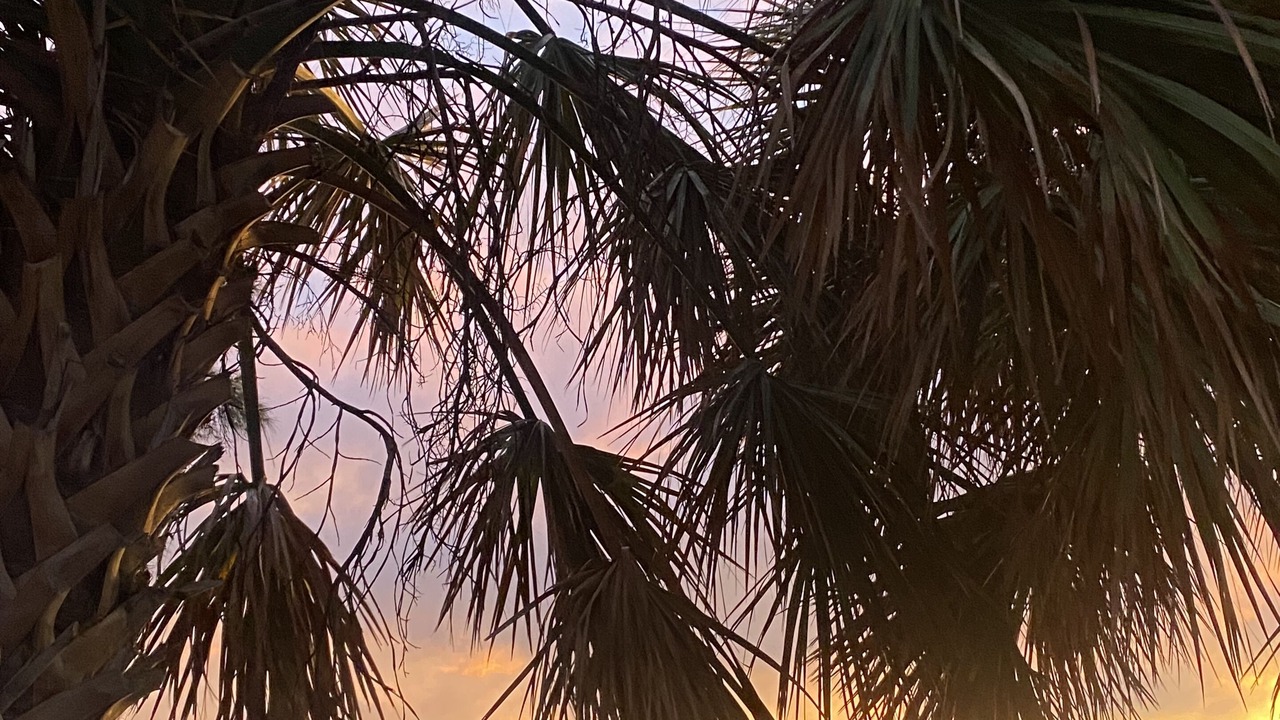 Photo of Others in South Bradenton