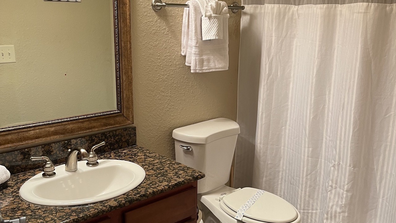 Photo of Bathroom in Wellington
