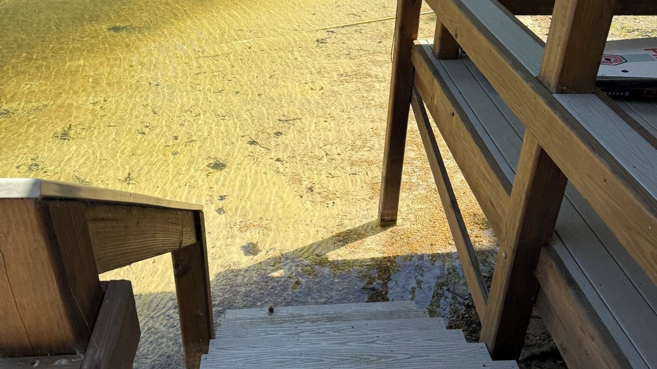 Photo of Outdoor in Lexington