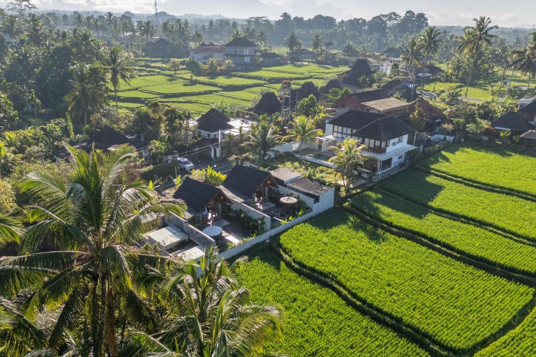 Photo of Others in Tegallalang