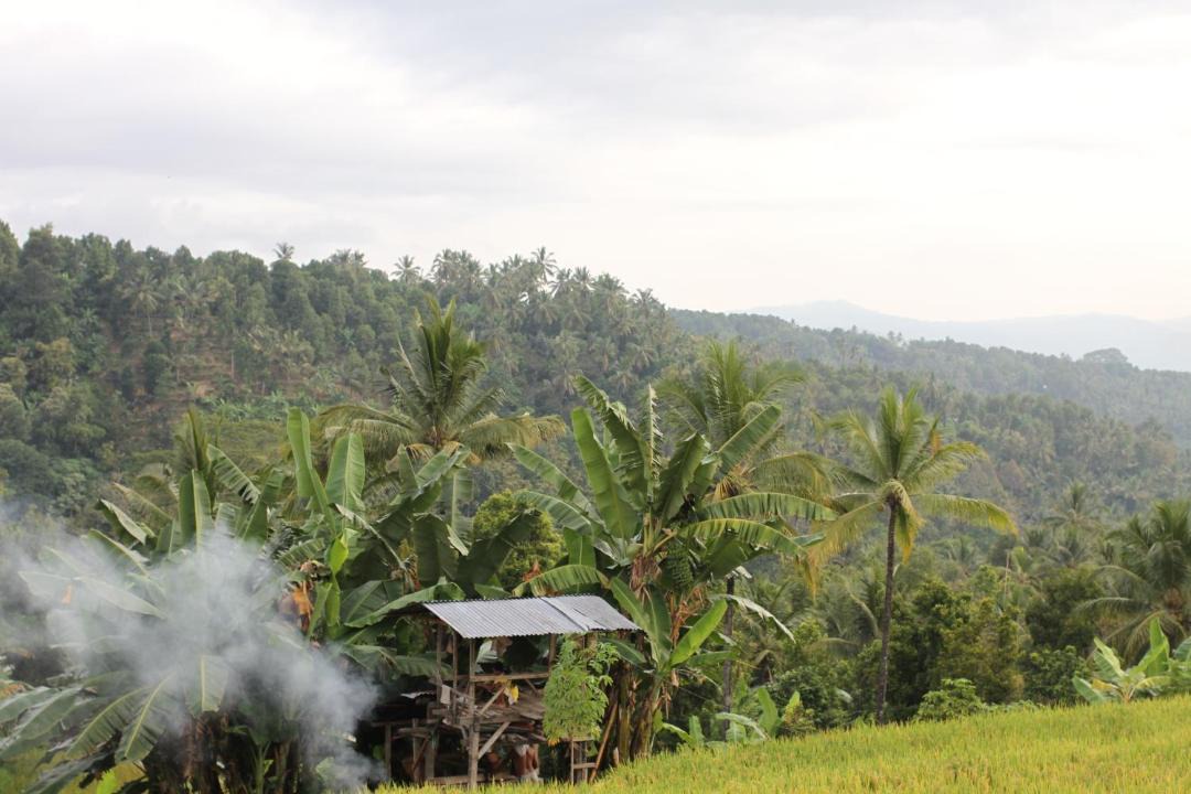 Photo of Others in Munduk