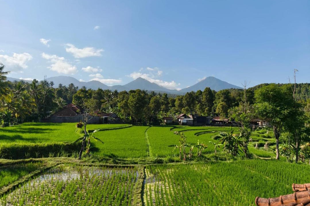 Photo of Others in Munduk