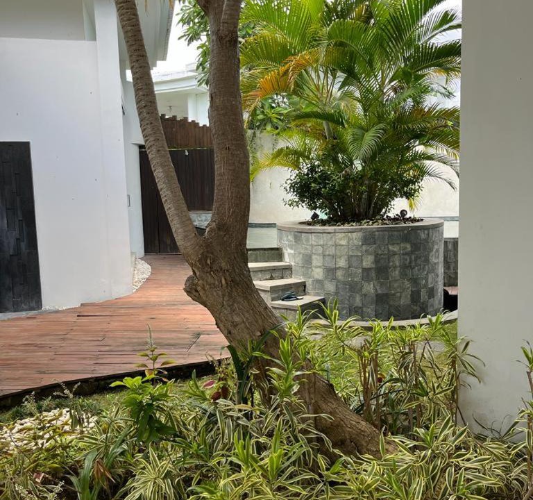 Photo of Others in Central Seminyak
