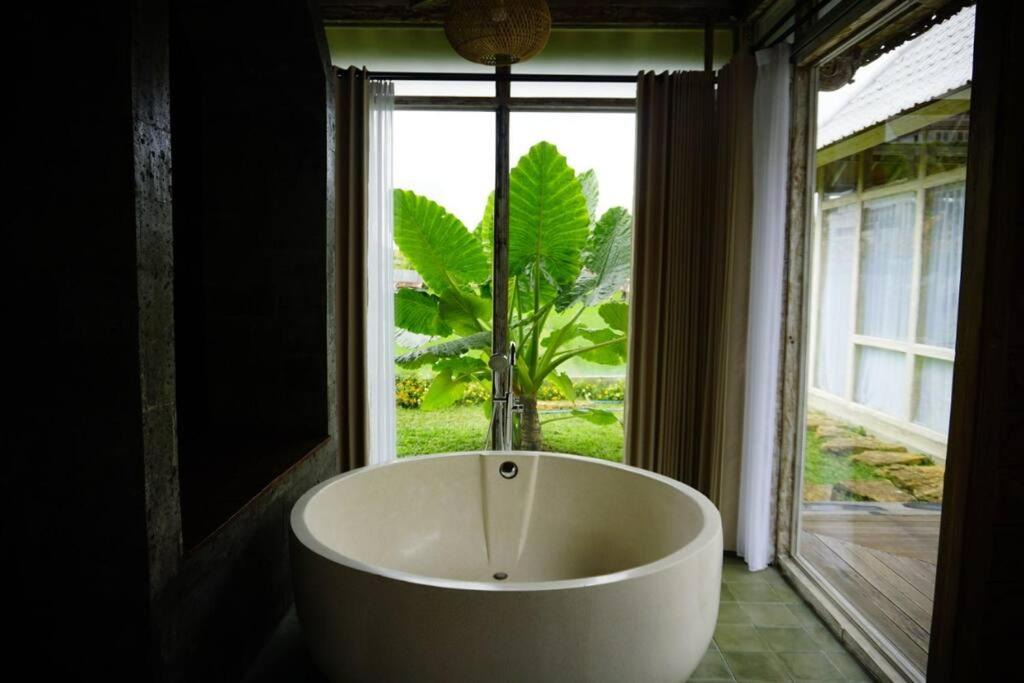 Photo of Bathroom in Batubelig