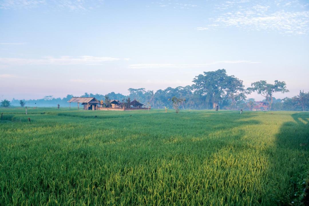 Photo of Outdoor in Melayang