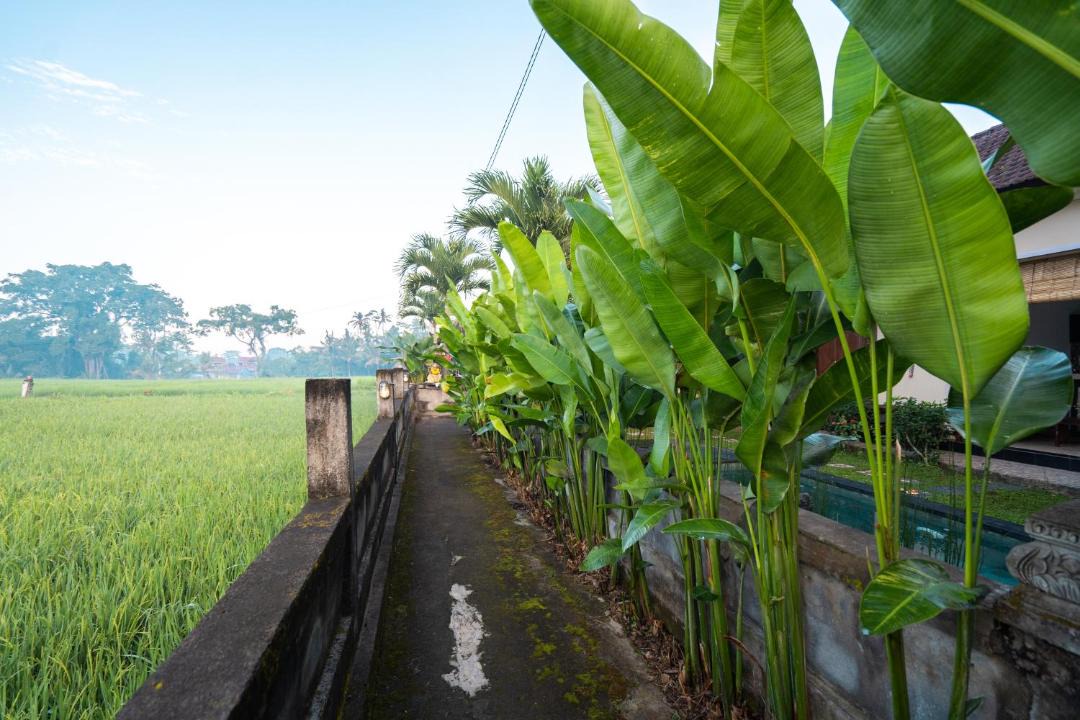 Photo of Others in Melayang