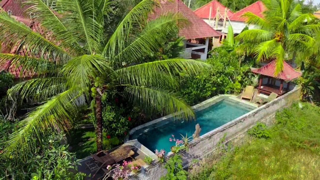 Photo of Outdoor in Pejeng Kawan