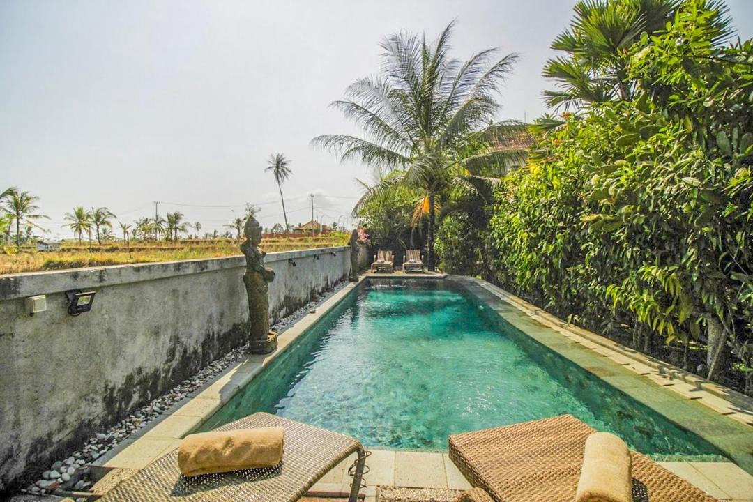 Photo of Outdoor in Pejeng Kawan