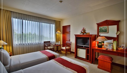 Deluxe Twin Room (Twin)