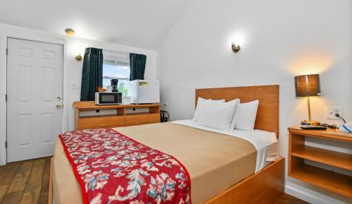 Single Queen Room