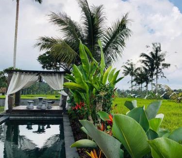 Taro Villa | Kasuari villa