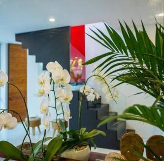Berawa Villa | Luxurious Villa in Berawa