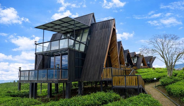 Nimo Tea Resort